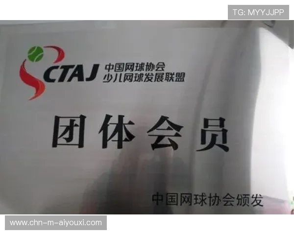 网球联盟推动基层场馆冬季训练与设施保养计划,网球场地的管理与维护 网球联盟推动基层场馆冬季训练与设施保养计划,网球场地的管理与维护