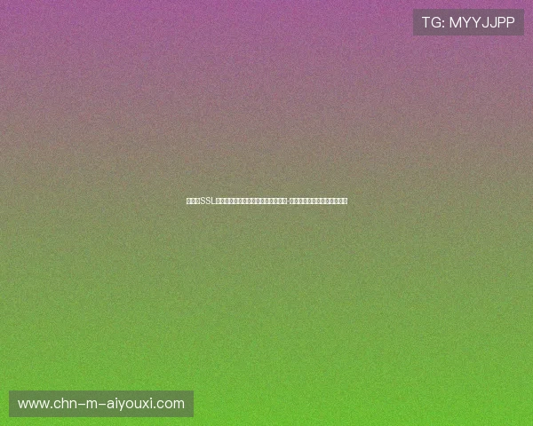 银行级SSL双重加密防护技术：全方位守护赛车-田径观赛用户的账户资产安全