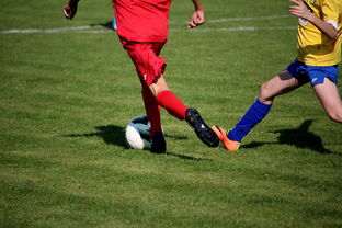 爱游戏体育-国家体育科研院发布训练负荷管理指南 指导基层教练，训练负荷包括负荷量和什么